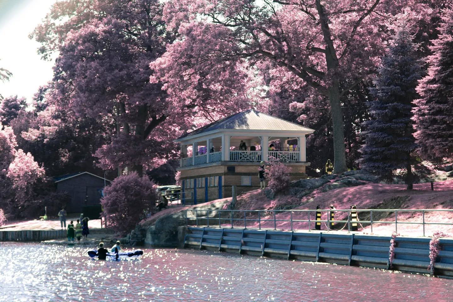 Near-infrared landscape around a pavilion with vivid pink foliage caused by chlorophyll reflectance.
